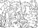 zdarma online hry - Jungle Coloring Book (jungle_coloring_book_tnl_1_.jpg)