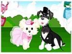 zdarma online hry - Puppy Dressup (puppy_dressup_tnl_1_.jpg)