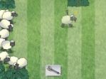 zdarma online hry - Sheep Reaction (sheep_reaction_tnl_1_.jpg)